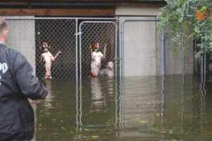 Dogs Trapped After Valencia Floods Need Rescuing NOW! Now Community Helps Rescue #Valencia