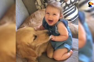 Dogs and Kids Growing Up Together | The Dodo