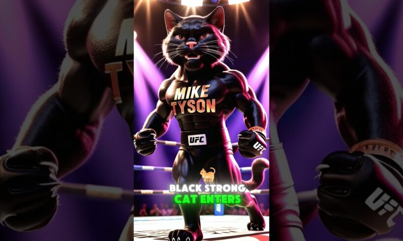 Epic Battle Tyson Strong Cat vs. Paul Bulk Cat – Who Will Survive?