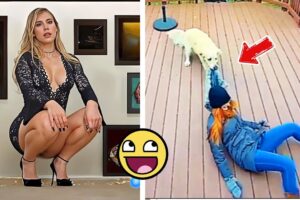 Fails Of The Week #funny #fails Instant Regret Fails Compilation 2024 #077