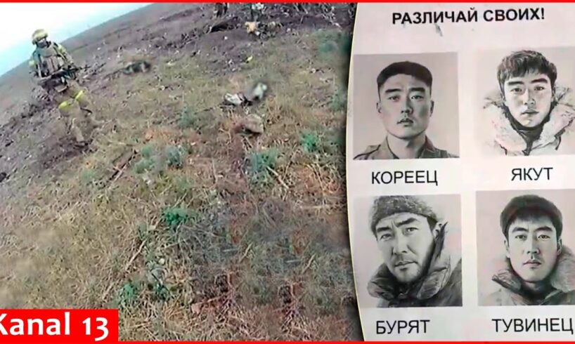 First video of killed North Korean soldiers at frontline: Ukrainian army shows footage from Selidovo