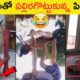 Funniest Fails of the week: Confirm గ నవ్వాపుకోలేరు😂