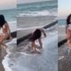 Funny Videos | Instant Regret | Girl Fails | Fail Compilation | Fails Of The Week | Random Fails