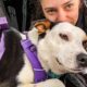 Girl Saves “Aggressive” Dog. She’s The Biggest Cuddle Bug Now | Cuddle Buddies