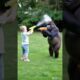 Gorillas and babies play with water guns. #cute #gorilla #animals #baby #shorts #funny