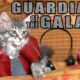 Guardians of the Galaxy (Cute Kitten Version)