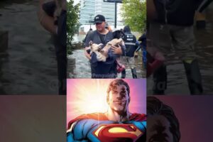 Heroes of the Flood: Animal Rescues in Brazil 🌟#starman #superman #animalrescue