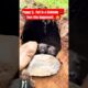 Heroic Puppy Rescued From Giant Sinkhole😭😍#puppy #dog #shorts #cute #pets #shorts