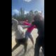 Hood Girl Street Fights With Backstory #9