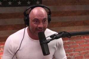 Joe Rogan on Striking vs BJJ In Street Fights