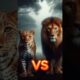 Lion vs tiger vs animals (animal fights lion and tiger) #shorts