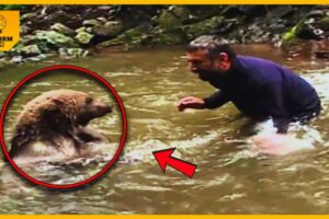 Mama Bear Does This after Man Saves Her Drowning Cubs