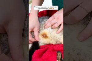 Man Rescues an Opossum and Gets a Big Surprise #rescue #cute #shortsvideo #youtubeshorts #trending