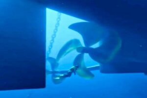 NEAR DEATH EXPERIENCE Ship Propellers