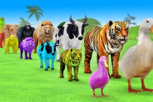 Paint Animals Duck,Tiger,Cow,Lion,Gorilla,Elephant,Dinosaur Fountain Crossing Animals Ball Game New