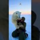 Polar Bear Cub Heartwarming Rescue!  #PolarBearRescue #WildlifeConservation #ArcticAnimals