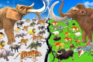 Prehistoric Vs Ice Age Mammals Size Comparison Animal Epic Battle Animal Revolt Battle Simulator