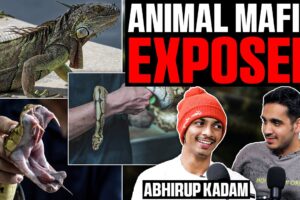 Real Side Of Snakes, Animal Smuggling, Rescue Stories and More Ft. Abhirup Kadam | RealHit