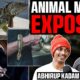 Real Side Of Snakes, Animal Smuggling, Rescue Stories and More Ft. Abhirup Kadam | RealHit