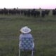 Serenading the cattle with my trombone (Lorde - Royals)