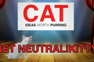 TED TALKS - Kittens on Net Neutrality (Cute Kitten Version)