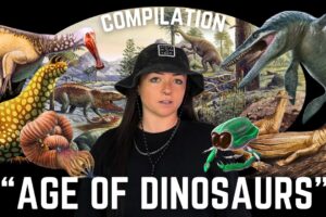 The Mesozoic Era (That We Know Of) Age of Dinosaurs Compilation | Lindsay Nikole