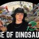 The Mesozoic Era (That We Know Of) Age of Dinosaurs Compilation | Lindsay Nikole