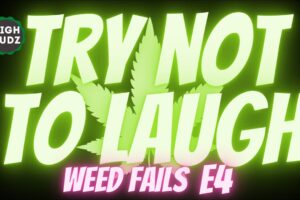 Try Not To Laugh Stoner Edition | Weed Fails Of The Week 04 - 2021