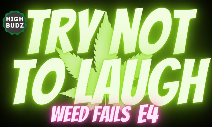 Try Not To Laugh Stoner Edition | Weed Fails Of The Week 04 - 2021