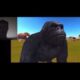 UltraMono1740 reacts to Dinosaurs Vs Elephant Tiger Lion Gorilla Craziest Animal Fights