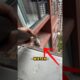 VIRAL! Moments of CAT RESCUE from Tall Building! What Happened was SHOCKING!🐱  #shorts #rescue #cats