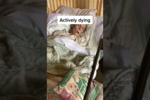 Video of Actively dying