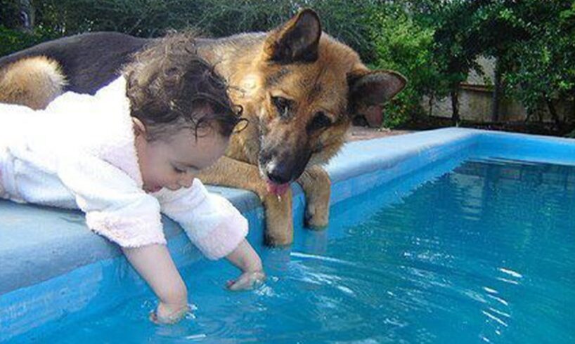 When your dog becomes the trusted nanny - Cute Moments Dog and Human