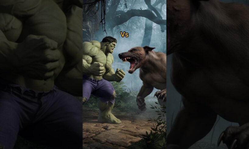 Wild confrontation:Hulk vs Leopard; Hulk vs more dogs ;# Short #shortfeed