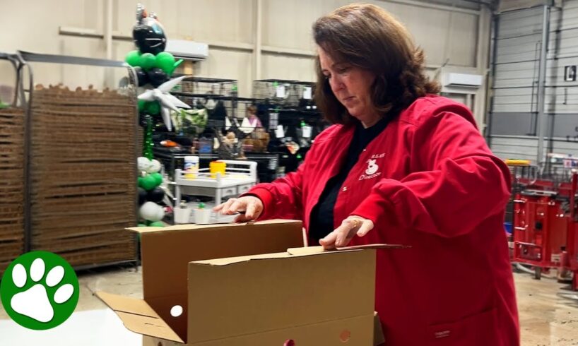 Woman opens box brought into their rescue and breaks down in tears