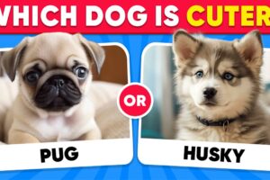 Would You Rather...? DOGS Edition 🐶 Which Dog is Cuter? | Quiz Kingdom