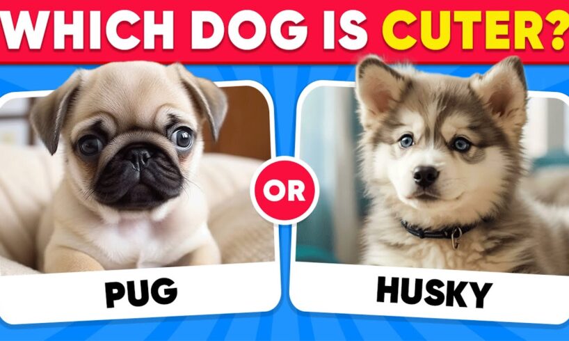 Would You Rather...? DOGS Edition 🐶 Which Dog is Cuter? | Quiz Kingdom