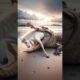 horse 🐴 vs crocodile 🐊 fight for baby #horse #crocodile #foal #sea #animals #fightscene #attack