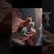 part 06:The story a brave kitten saving a little lion.#shorts