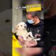 #shorts Backpacker picks up a disabled puppy to travel with him😲