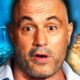 10 Craziest ANCIENT CONSPIRACY Theories In Joe Rogan History (Documentary)