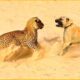 15 Moments Dogs Fight Fiercely With Leopards | Animals Fights