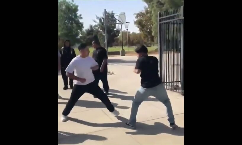 BEST FIGHTS COMPILATION 👊😱| 2024