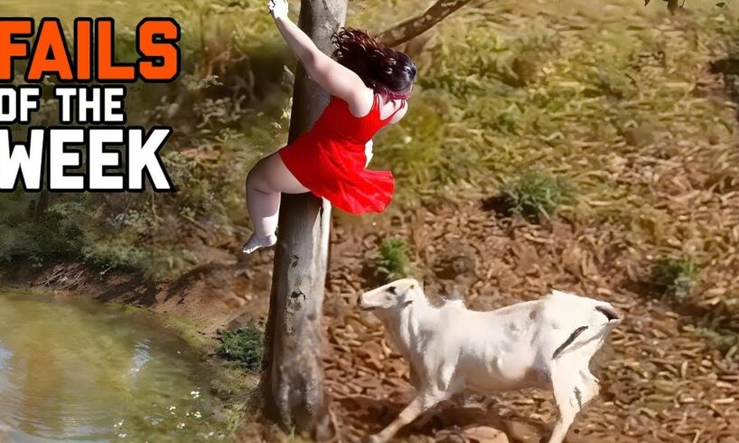 Best Fails of The Week: Funniest Fails Compilation: Funny Video | FailArmy - Part 12