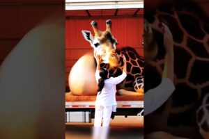 A Pregnant Giraffe who has no help / #shorts #alone #ai #viralshort #giraffe #ytshorts #helpless #ai