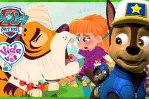 AMAZING ANIMAL RESCUES! - PAW Patrol & Vida the Vet Compilation - Cartoons for Kids