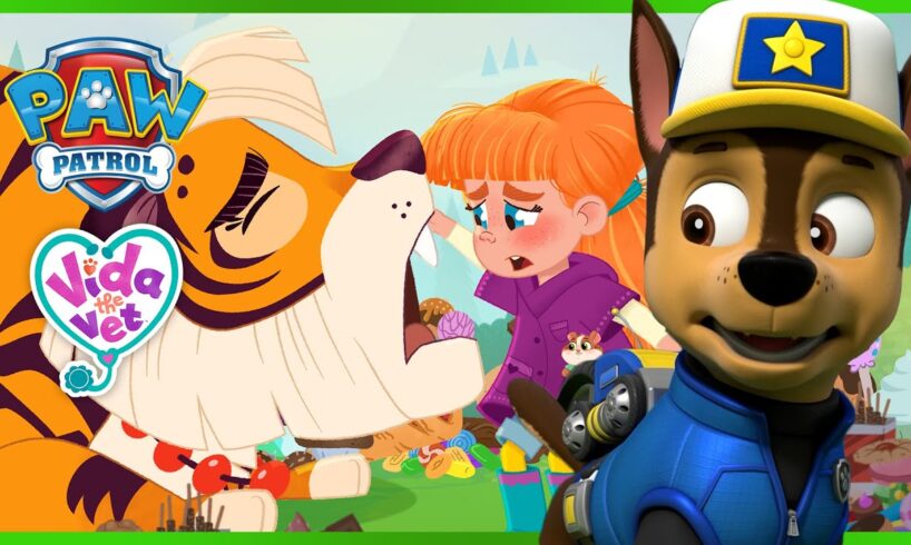 AMAZING ANIMAL RESCUES! - PAW Patrol & Vida the Vet Compilation - Cartoons for Kids