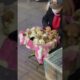 Adorably Cute: Puppies Sold by an Elderly Lady on the Street #viral, #dog #funny