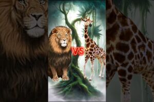 Animal Fight #shorts #animals #animalfight