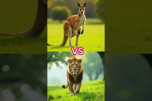 Animals fights #lion #fusion#hybrids  #animals #animalfight #ai #shorts #shortvideo